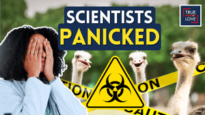 Podcast Thumbnail Preload