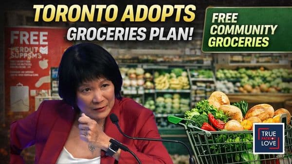 Is Toronto Going FULL NYC?! Free Grocery Plan Sparks Debate